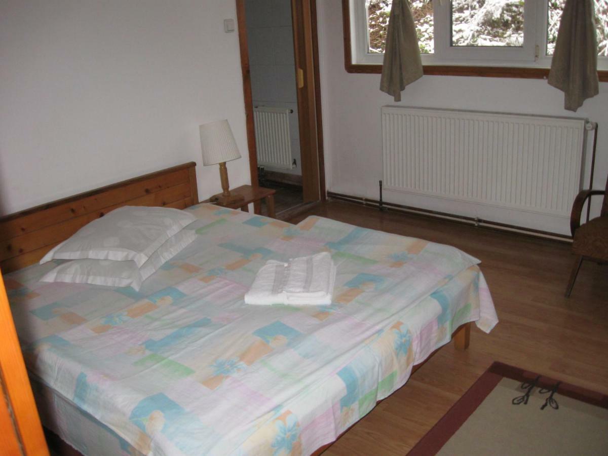Pensiunea Amo Vălenii de Munte Buitenkant foto