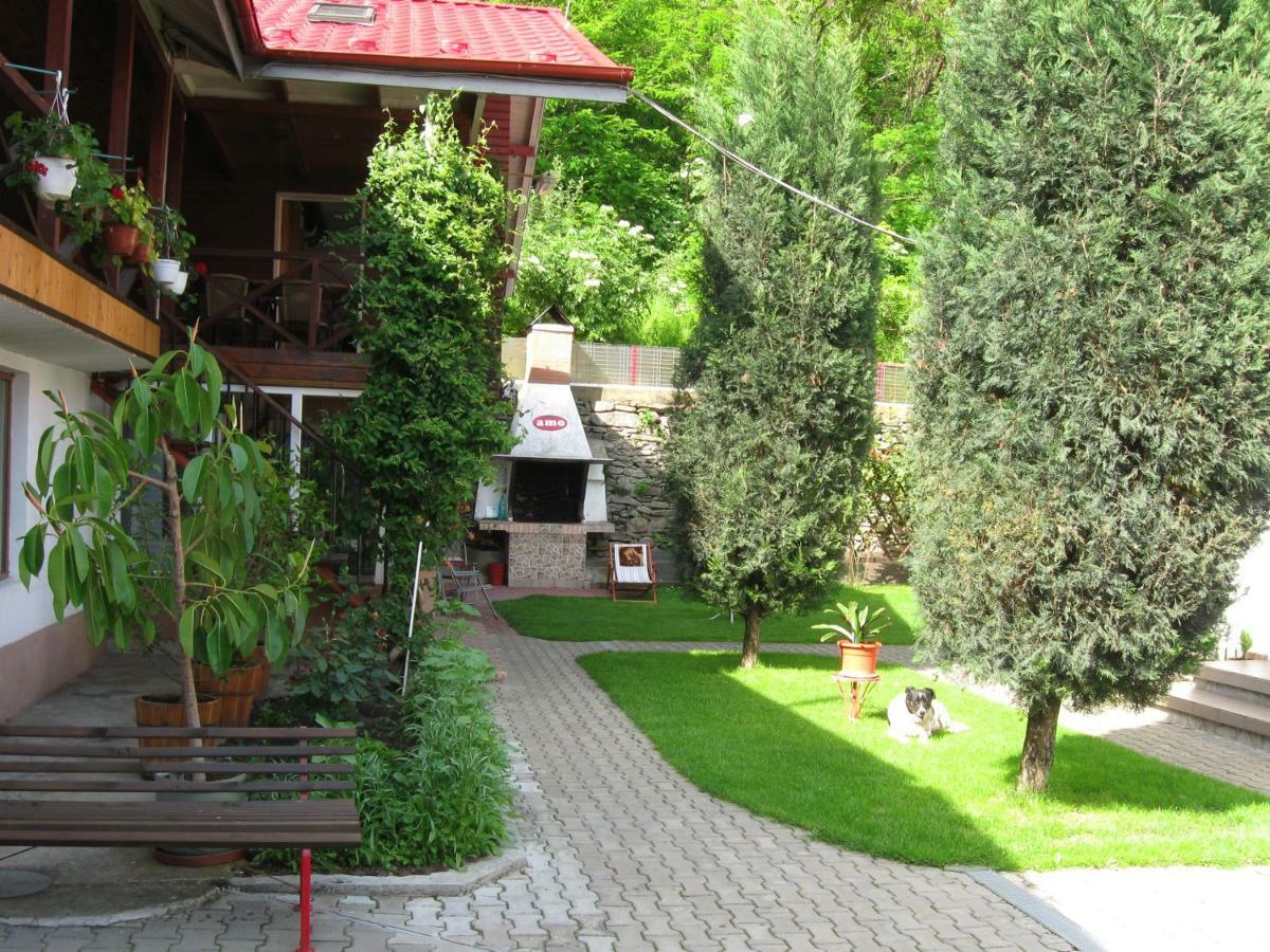 Pensiunea Amo Vălenii de Munte Buitenkant foto