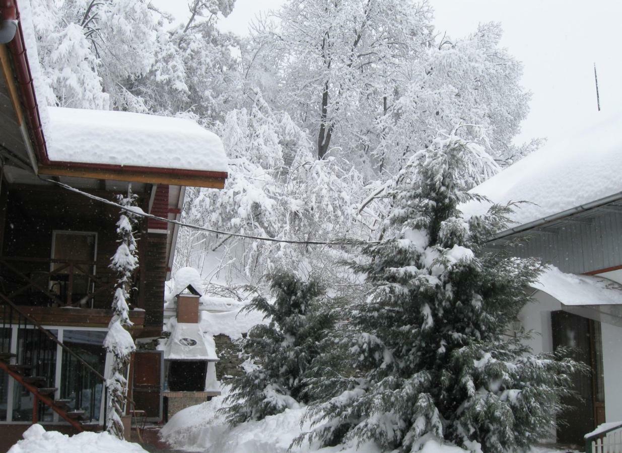 Pensiunea Amo Vălenii de Munte Buitenkant foto